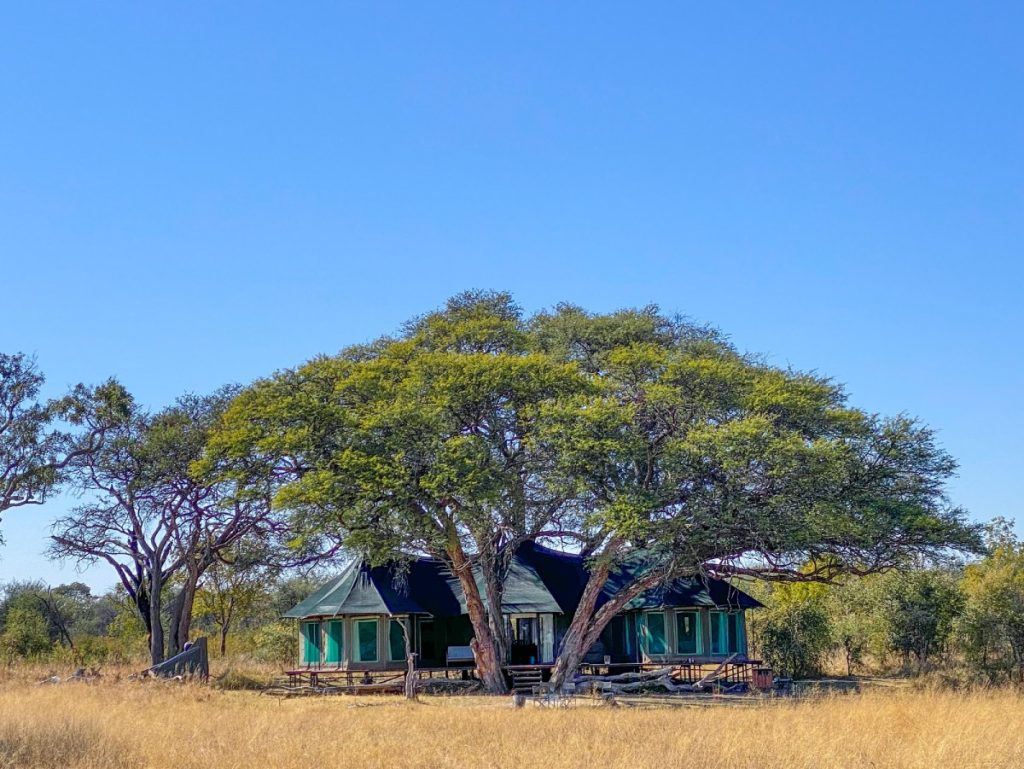 Lodge in the wilderness of Africa