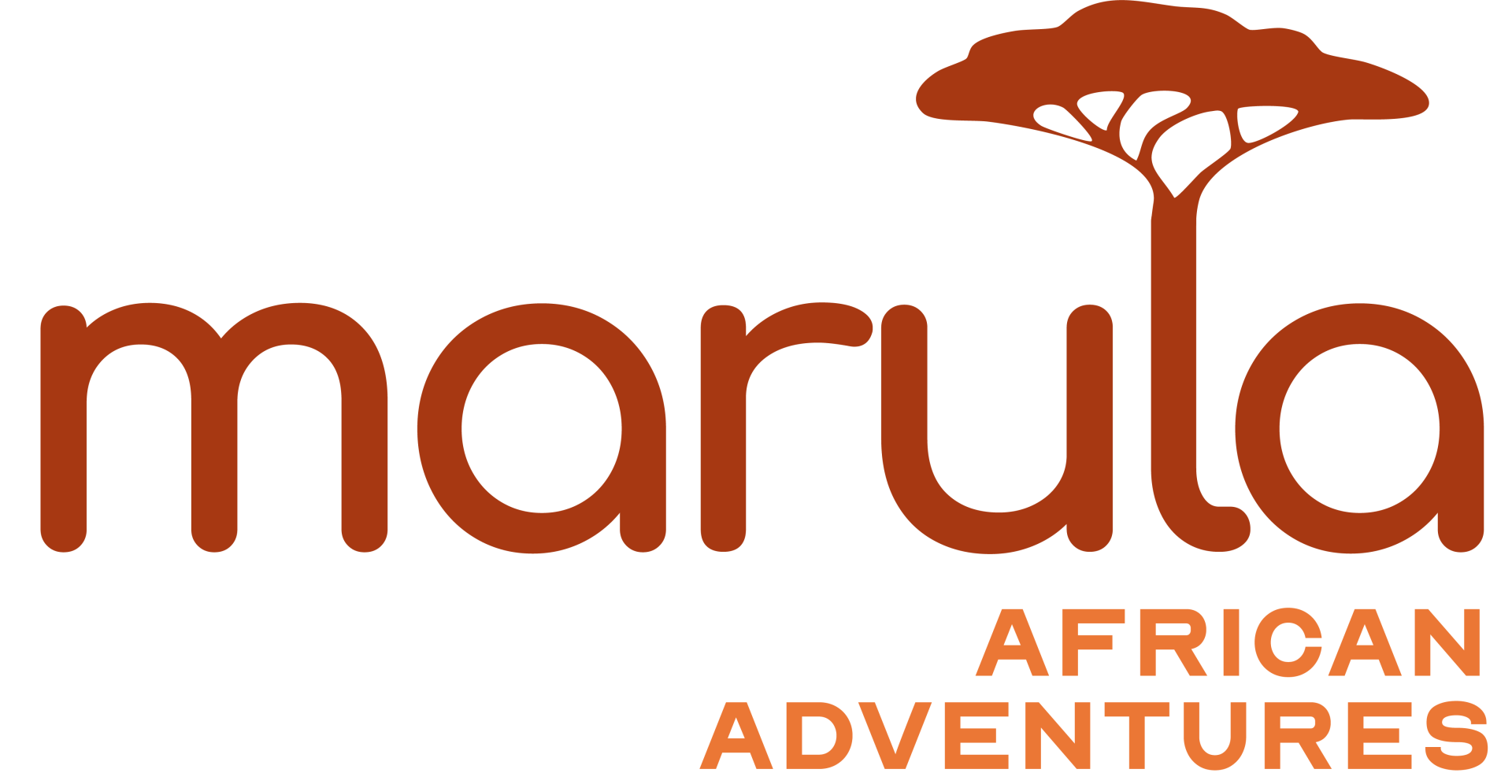 Website title